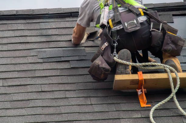 Best Local Roofing Companies  in Fall River, WI