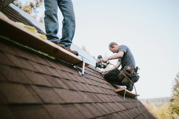Best Roof Gutter Cleaning  in Fall River, WI