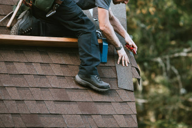 Best Metal Roofing Contractor  in Fall River, WI